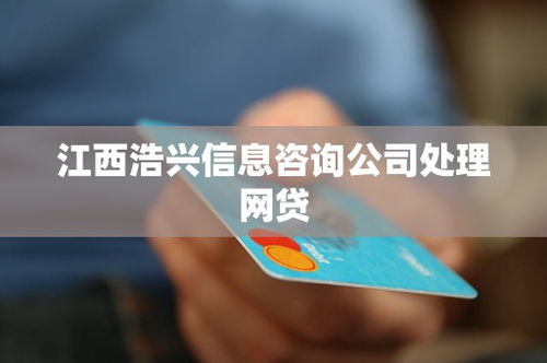 江西浩興信息咨詢公司 網貸處理與人力信息咨詢的專業服務解析